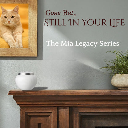 Small Pet Urn – Mia Series Memorial for Dog & Cat Ashes (25 lbs)