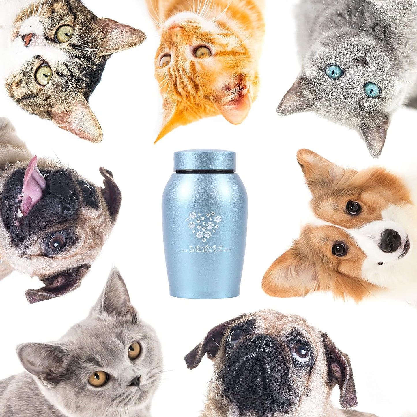 Large Pet Urn – Paws Engraved Stainless Steel Memorial for Ashes