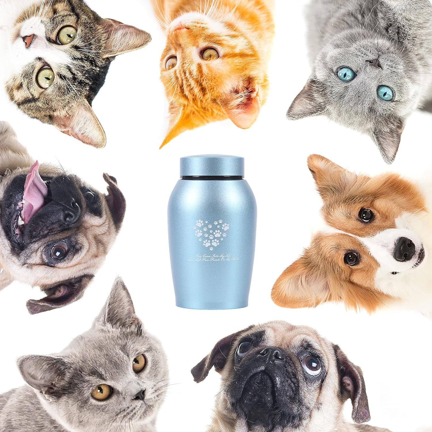 Large Pet Urn – Paws Engraved Stainless Steel Memorial for Ashes