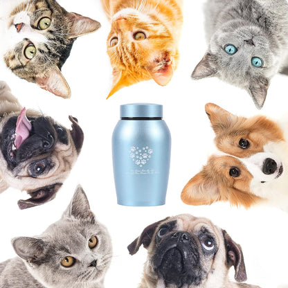 Large Pet Urn – Paws Engraved Stainless Steel Memorial for Ashes