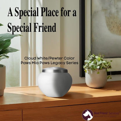 Small Pet Urn – Mia Series Memorial for Dog & Cat Ashes (25 lbs)