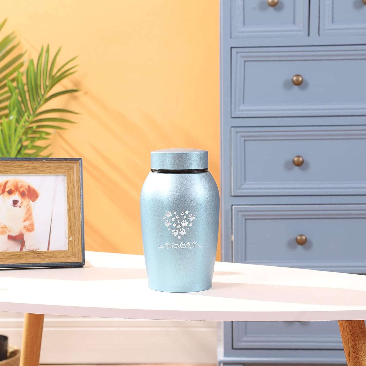 Large Pet Urn – Paws Engraved Stainless Steel Memorial for Ashes