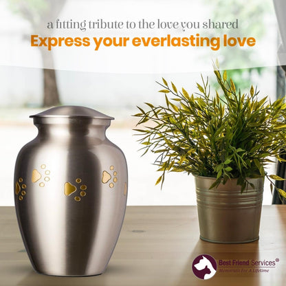 Small Pet Cremation Urn – Ottillie Paws Legacy Keepsake for Pets (Vertical Pewter Brass)