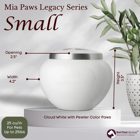 Small Pet Urn – Mia Series Memorial for Dog & Cat Ashes (25 lbs)