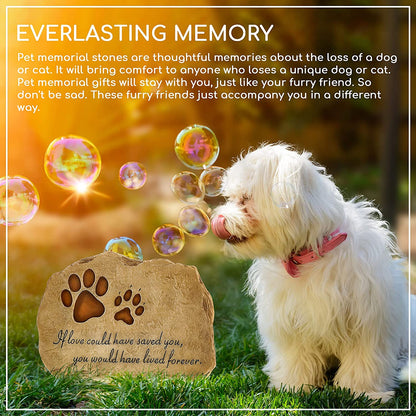 Pet Memorial Stepping Stone – Garden Tribute for Cats & Dogs